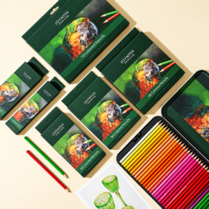 Home parrot pencil series